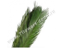 image270 - копия - копия - копия.png