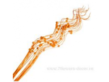 image246 - копия - копия - копия.png