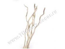 image117 - копия - копия - копия - копия.png