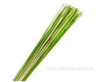 image199 - копия - копия - копия.png