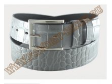  Black Tortoise #138   700+%
