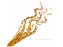 image187 - копия - копия - копия.png