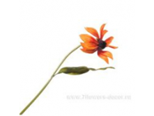 image458.png