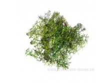 image419 - копия.png