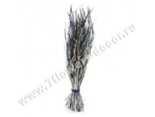image234 - копия - копия - копия.png