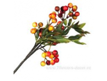image068.png