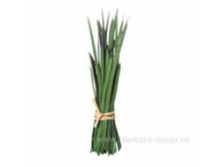 image418 - копия.png