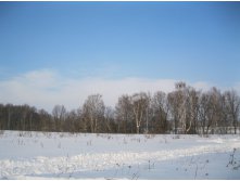 IMG_3350.JPG