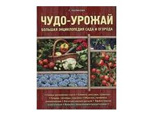 Сад и огород