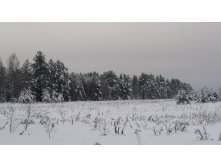 IMG_0017.JPG