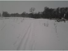 2015-02-07 12.30.49.jpg