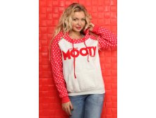 : 2481  MOOTY( ) 750.00.