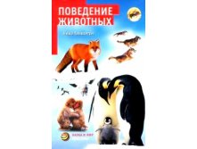 Наука и мир