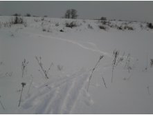 2015-02-07 13.16.31.jpg