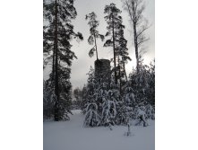 DSC00986.JPG