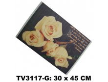 TV3117G-E . 58 . +%