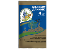 Максим Дачник (амп. 4 мл.png