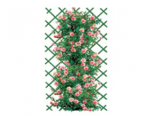 шпалера  зеленая