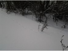 2015-02-07 13.12.31.jpg