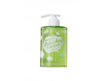 Shara Shara Dream Of Refreshing Body Wash      456,25 .jpg