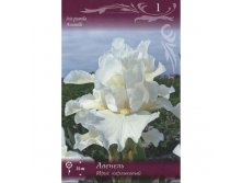 Ирис Авенель 118,8р
