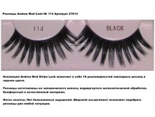 Andrea + Ardell  27614  Andrea Mod Lash  No  114