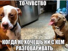 b8be9ed9354266a28fc691093205119d91b8a4ab8c032f742a0970305998ab41_1.jpg