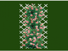 шпалера   белая