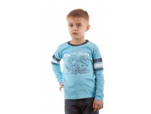 Джемпер для мальчика. TJ-002 280 руб.jpg