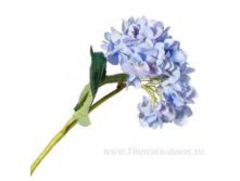image138.jpg
