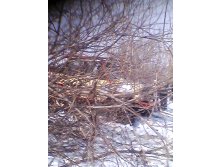 IMG_20150321_110951.jpg