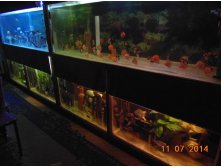 getImage (45).jpg
