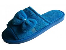 A2905 blue-600x400.jpg