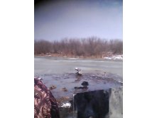 IMG_20150321_111436.jpg