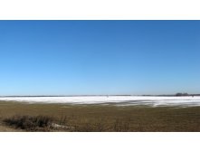 IMG_9818.JPG