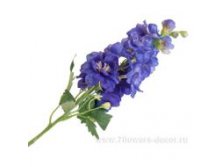 image150.jpg