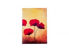 Обложка на паспорт Poppies.jpg