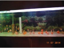 getImage (43).jpg