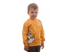 Джемпер для мальчика. TJB-014 425 руб.jpg