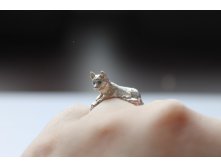 Собачка.