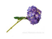 image140.jpg