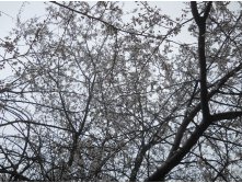 DSCN5555.JPG