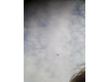 IMG_20150321_103533.jpg