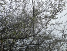 DSCN5553.JPG