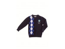 Свитер для мальчика. H0268 500 руб.jpg