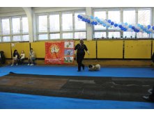 IMG_2250.JPG
