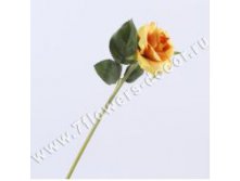 image218.jpg
