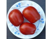 Канестрино (фото из каталога Попенко!)
