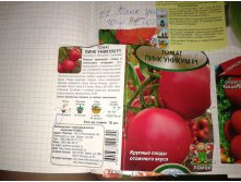 Пинк уникум (Голландия)