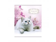 Тетрадь 48л. А5 клетка Питомцы. Romantic season, глянцевый УФ-лак  14,56.jpg